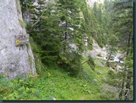 DSCN8975