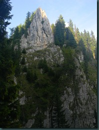 DSCN8966