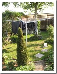 IMG_8054 IMG_8054