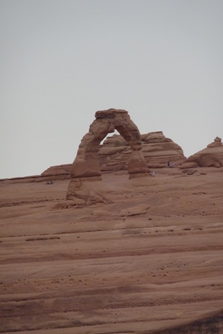 [P1000841[2].jpg]