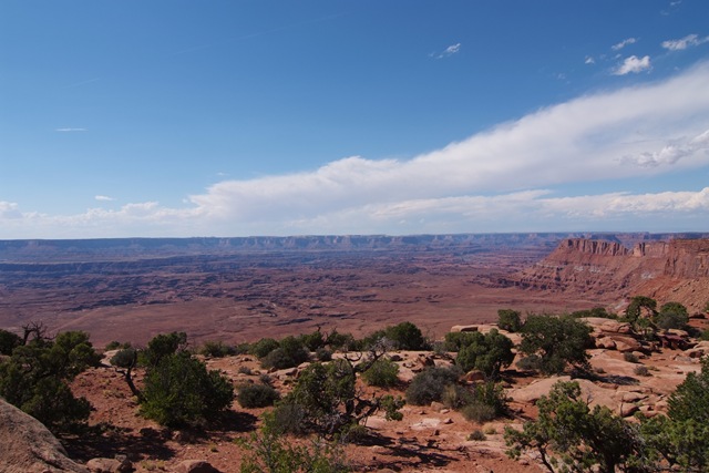 [DSCF0993[2].jpg]