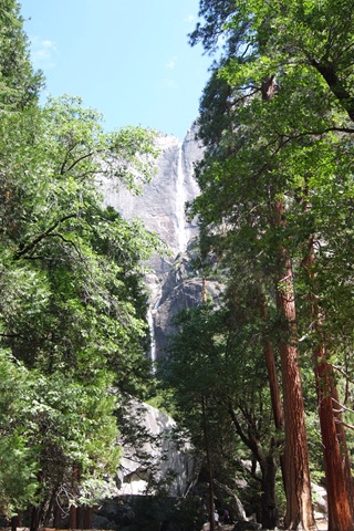 [DSCF07242.jpg]