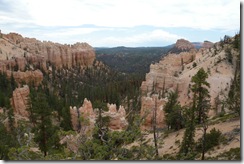 DSCN1194