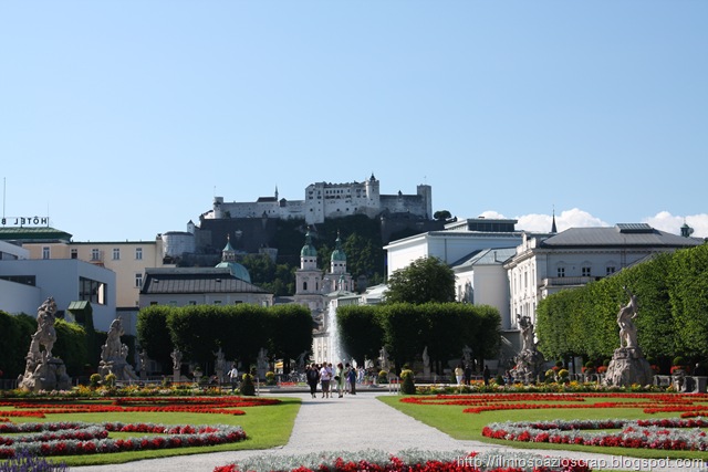 [IMG_17917.jpg]