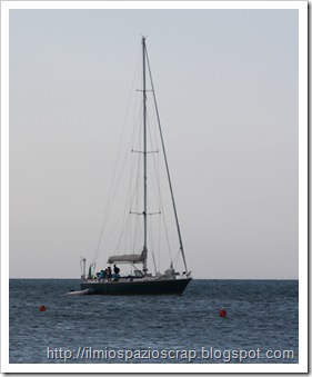 IMG_2529 IMG_2529