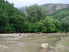 DSC07905.JPG