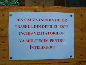 DSC07936.JPG