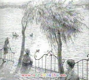 经典错觉