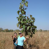 First Few Months at Site