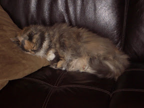 IMGP0046.JPG