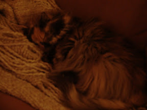 DSC00169.JPG