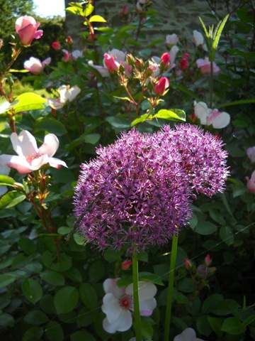 [DSCN29163.jpg]
