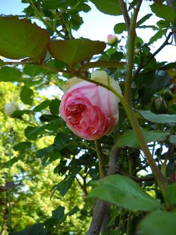 [DSCN29203.jpg]