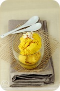 SaffronCocoIceCream 01 framed