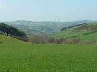 The view west