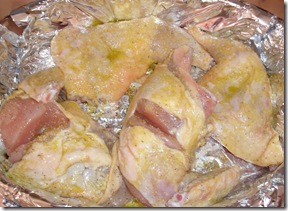 frango1 frango1
