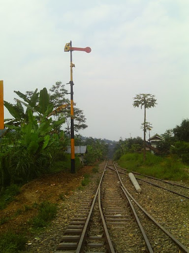 [Image: IMAG0153.JPG]