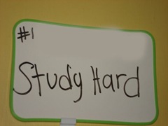 study hard