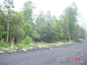 Dsc06.jpg