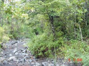 Dsc010.jpg