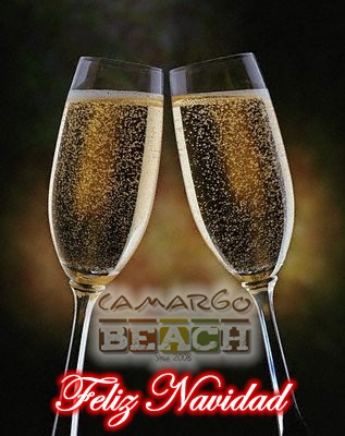 [Brindis2[5].jpg]