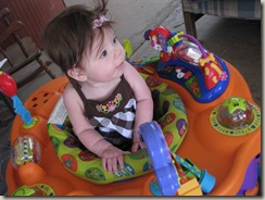 IMG_2236 IMG_2236