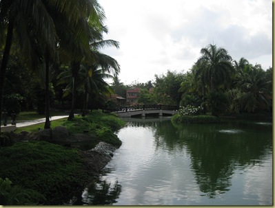 Room view