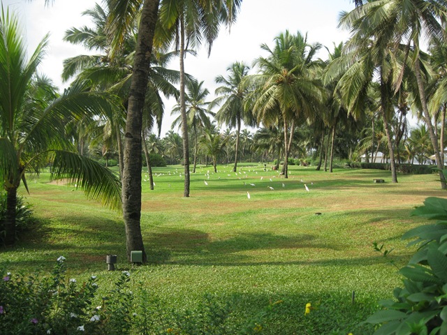 [Second anniversary (Leela Kempinski, Goa) - May 2009 081[3].jpg]