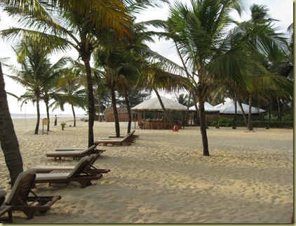 Beach restaurant and bar