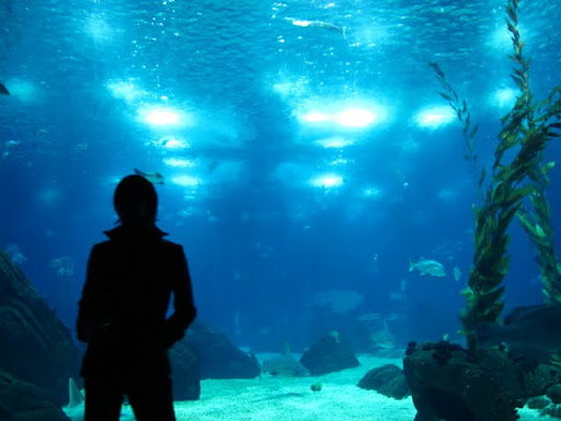 リスボン水族館