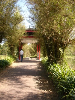 DSC09802