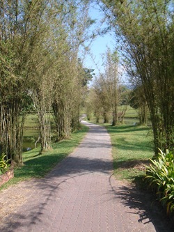 DSC09815