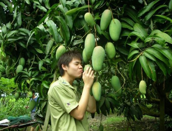 [mangooo[3].jpg]
