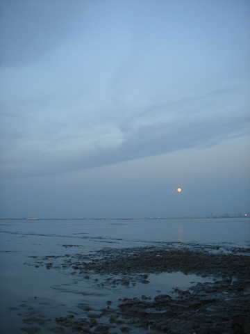 [DSC014672.jpg]
