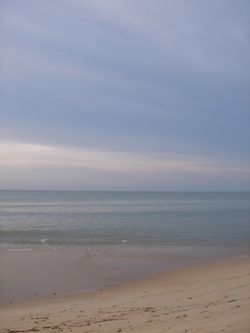 DSC01597