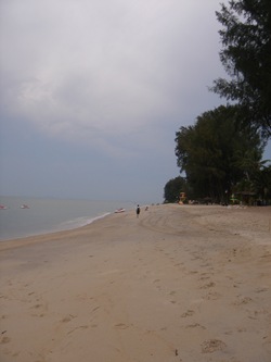 DSC01600