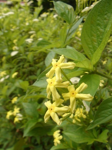 [DSC012872.jpg]