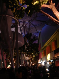 DSC01806