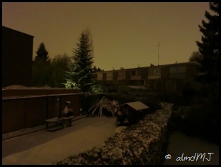 Nohce blanca