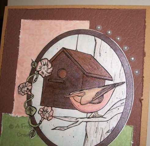 [kc~BirdHouseOval_CloseUp[2].jpg]