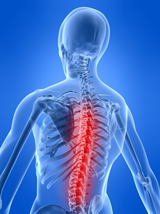 Spinal Injury - Phillips Webster