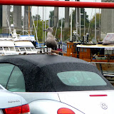 Vancouver und Island