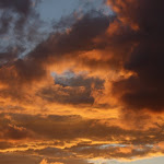 IMG_0865.jpg
