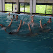 P1000395 (Medium).JPG