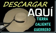 FIRMA DESCARGAR