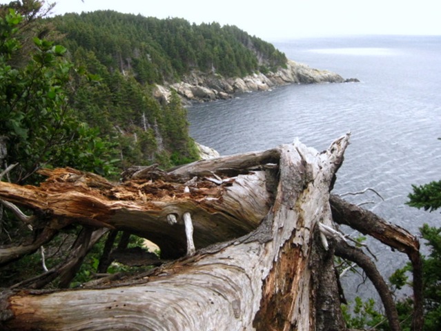 [August20096434.jpg]