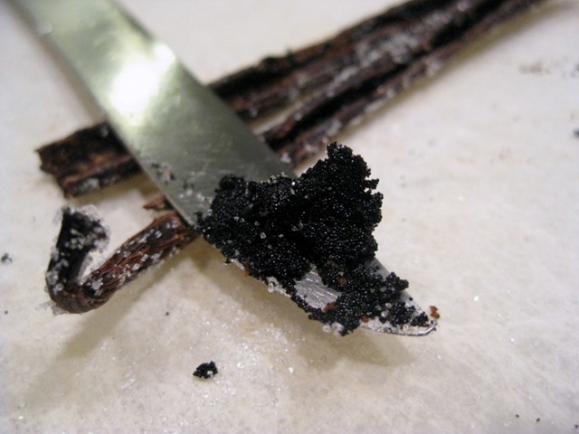 [December20092123.jpg]
