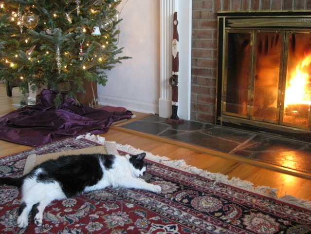 [December20085213.jpg]