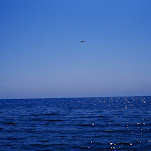 84380025.JPG