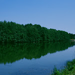 84380026t.jpg